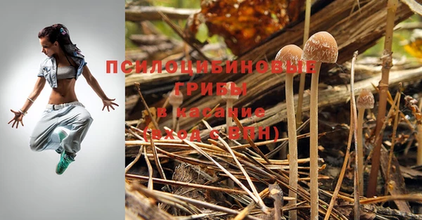 МДМА Каменногорск